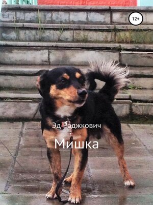 cover image of Мишка